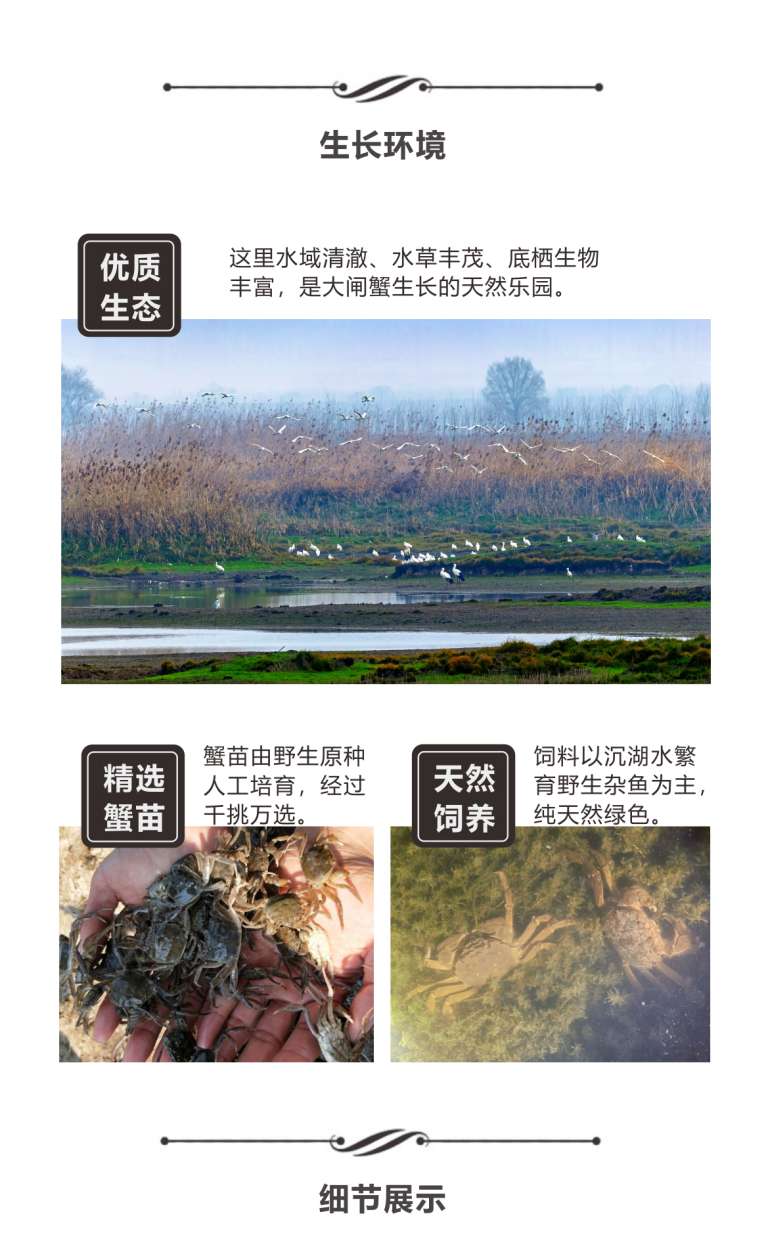 商品详情2
